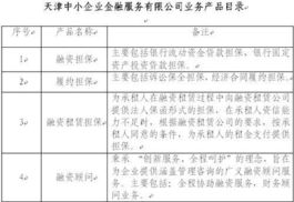 中國長城資產管理公司控股子公司 產品技術服務的戰略布局與市場競爭力